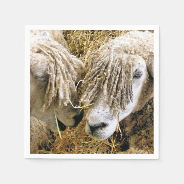 SCHUHE SERVIETTE (Vorderseite)