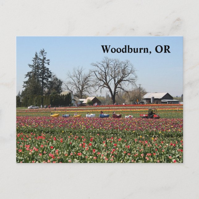 Schuhzug Postkarte (Vorderseite)