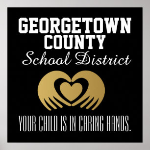 Schul-/Schulbezirk-Plakat - SRF Poster