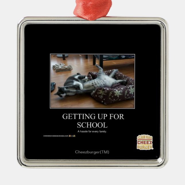 Schulbesuch Silbernes Ornament (Vorne)