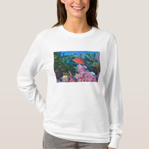 Schulbildung Fairy Basslets (Pseudanthias T-Shirt