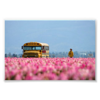 Schulbus, Magic Bus. Fotodruck