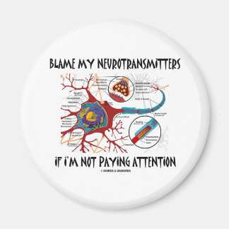 Schuld an meinen Neurotransmittern, wenn sie nicht Magnet
