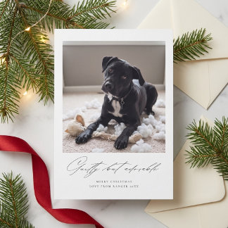 Schuldig, aber süß | Lustiges Hunde-Foto-Weihnacht Feiertagskarte