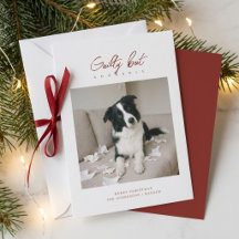 Schuldig, aber süß: Lustiges Hunde-Foto-Weihnachte