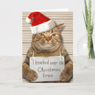 Schuldige Katze in Santa-Hut Weihnachtskarte Karte