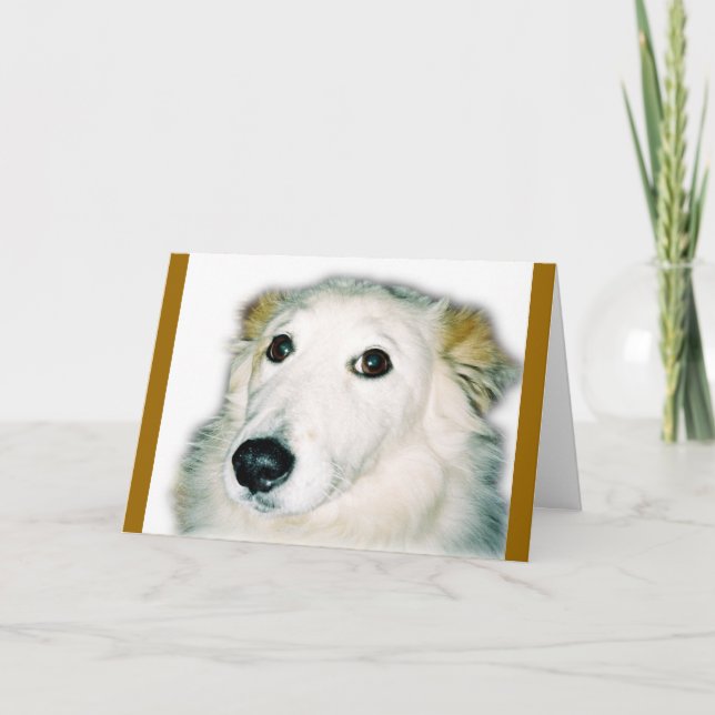 schuldiger Hund Karte (Vorderseite)