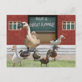 Schule aus, kleine Entenküken mit Gänselehrerin Postkarte