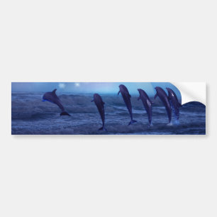 Schule der Delphine durch Mondschein Autoaufkleber