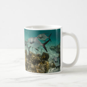 Schule der erlaubten Fische Tasse