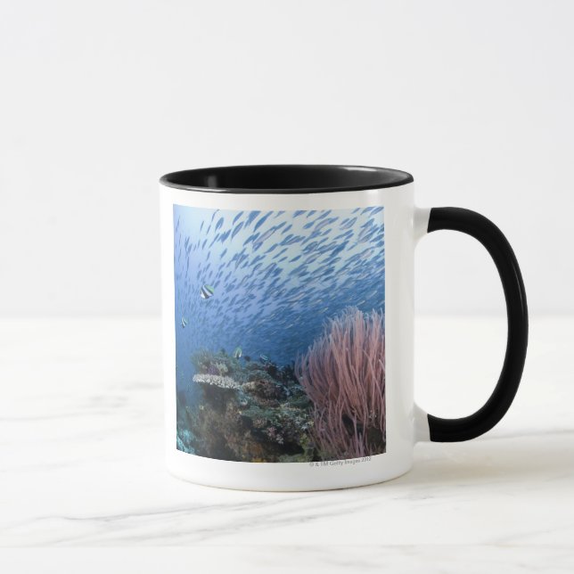 Schule der Fische über Riff Tasse (Rechts)