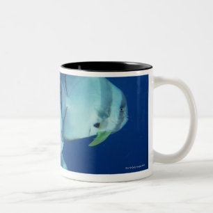 Schule der Fische Zweifarbige Tasse