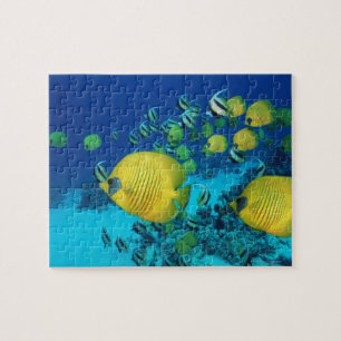Schule der Schmetterlings-Fisch-Schwimmens auf dem Puzzle