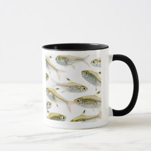 Schule der Tetra- Fische des Röntgenstrahls Tasse