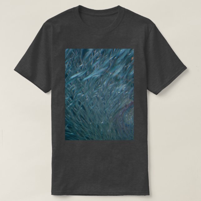 Schule DPG150527a T-Shirt (Design vorne)