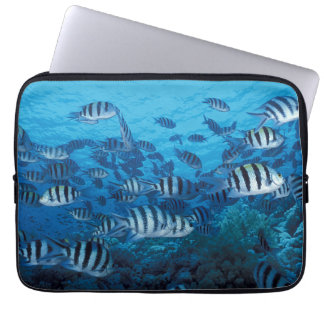 Schule für gestreiften Fisch Laptop-Sieb Laptopschutzhülle