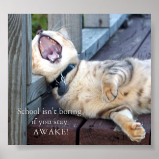 Schule ist nicht langweilig poster