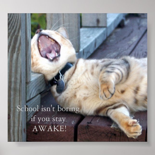 Schule ist nicht langweilig poster (Vorne)