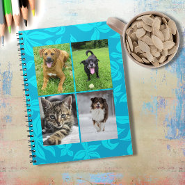 Schule Vier Foto Blaue Blumen Klassenzimmer Notizblock