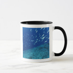 Schule von Fischen 6 Tasse
