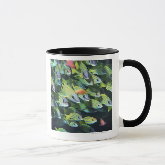 Schule von Fischen 7 Tasse (Rechts)