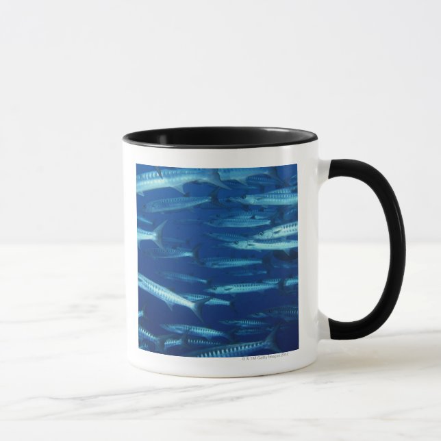 Schule von Fischen 9 Tasse (Rechts)