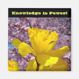 Schullocker Magnete Wissen ist Power!