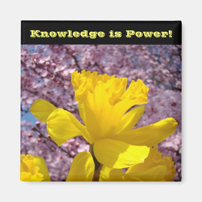 Schullocker Magnete Wissen ist Power! (Vorne)