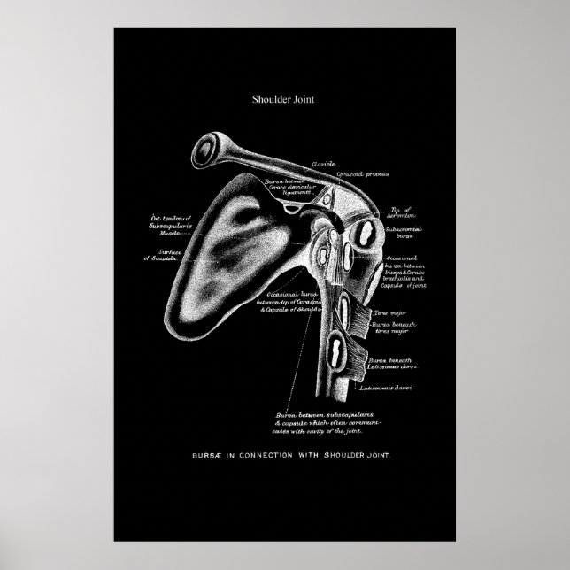Schultergelenk Anatomy Medical Wall Decoder Poster (Vorne)