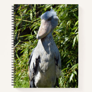 Schuppen (Balaeniceps rex) Notizbuch