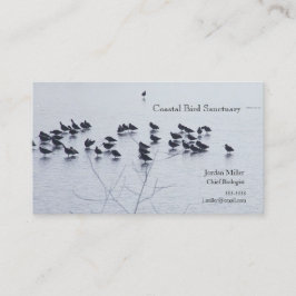 Schuppenvögel am See Visitenkarte