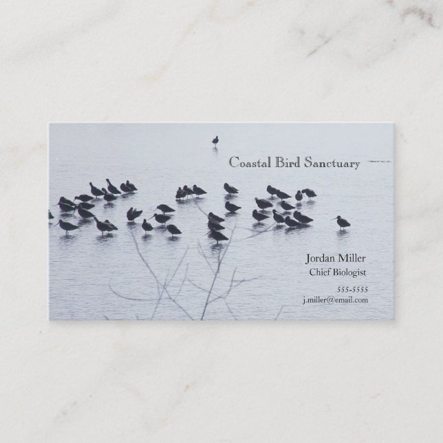 Schuppenvögel am See Visitenkarte (Vorderseite)