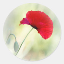 Schürze mit rotem Mohn "Sei glücklich!"