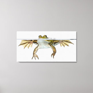 Schuss einer genießbaren Froschdecke vor einem Leinwanddruck