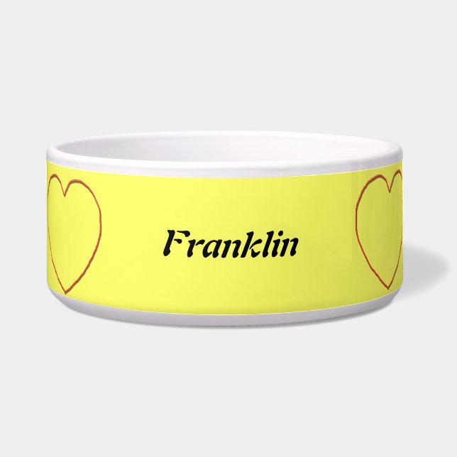 Schüssel für Haustiere - Kabel (Vorderseite)