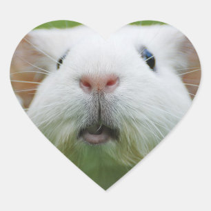 Schuster-Aufkleber Herz-Aufkleber