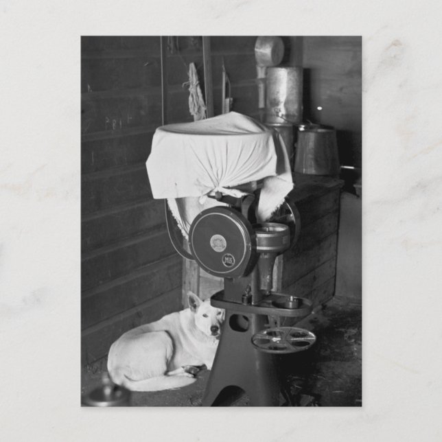 Schutz der Creme Separator, 1936 Postkarte (Vorderseite)