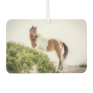 Schutz des Dunes Air Freshener Autolufterfrischer