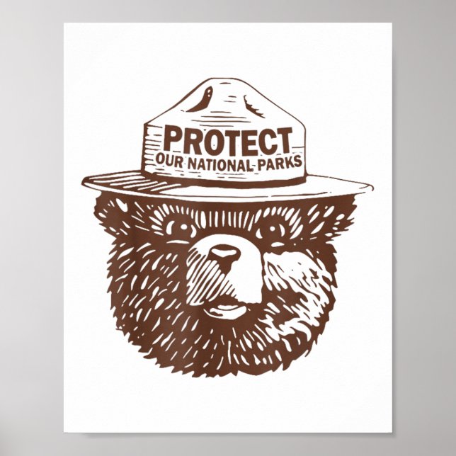 Schutz unseres Parks Bear Graphic National Park Fu Poster (Vorne)