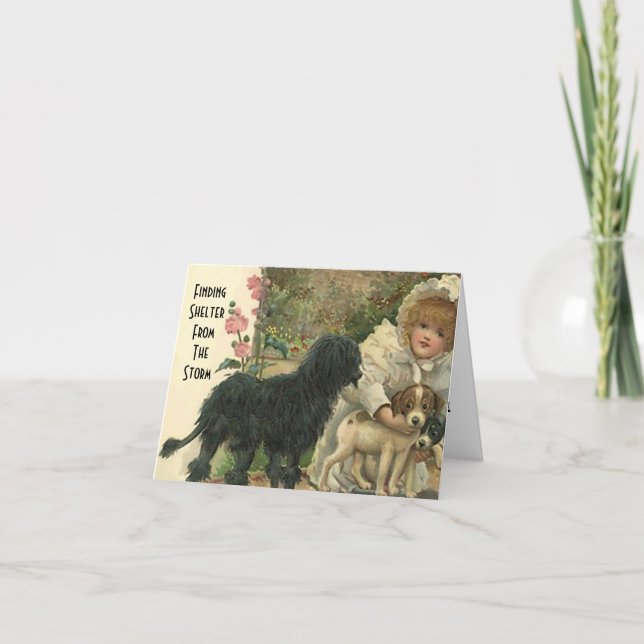 Schutz vor der Storm Pet Cat Rescue Dankcard Dankeskarte (Vorderseite)