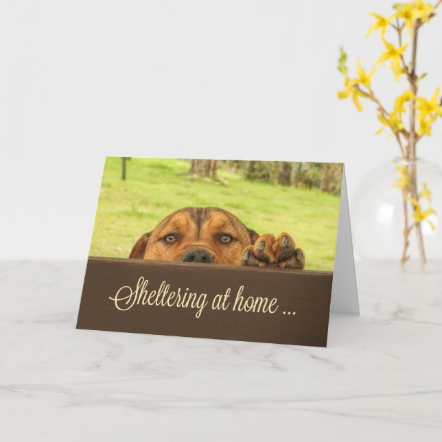 Schutz vor Zuhause Support Card Corona Virus Karte (Gelbe Blume)