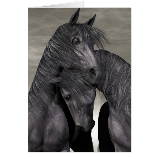 Schutz zu allen Kosten (Vorne)