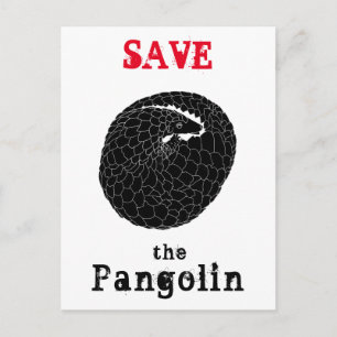 Schütze Pangolin Gefährdete Art Tier Monochrom Postkarte