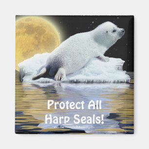 Schützen Sie alle HarfenSiegel! Wildlife Magnet
