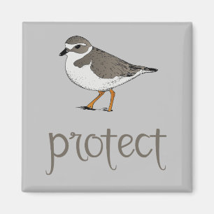 Schützen Sie den Piping Plover-Vogel Magnet