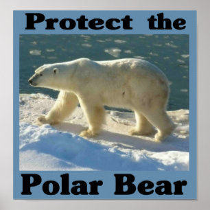 Schützen Sie den Polarbär Poster