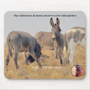 Schützen Sie unsere wilden Burros Mousepad