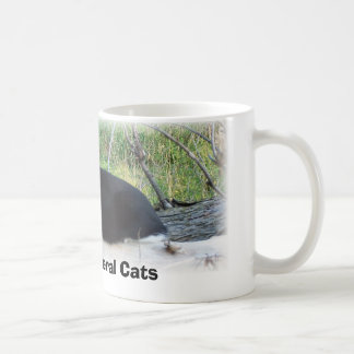 Schützen Sie wilde Katzen Kaffeetasse
