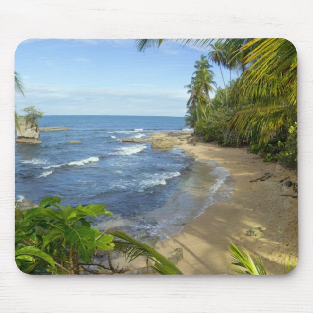 Schutzgebiet Costa Ricas, Manzanillo Mousepad (Vorne)
