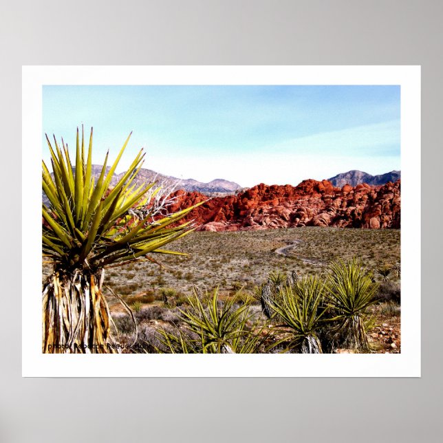 Schutzgebiet für Rock, Las Vegas Poster (Vorne)